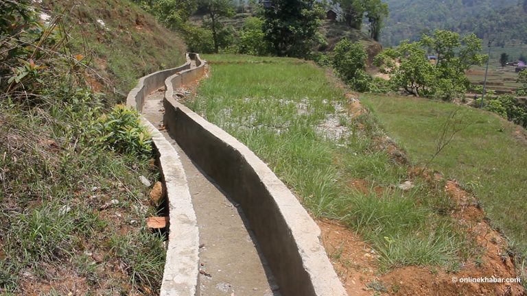 गुल्मीको अर्जैमा सिंचाइ सुविधा, किसान हर्षित