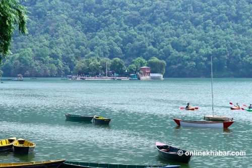 फेवातालमा माछा घट्दा जलारी समुदायको पेसा सङ्कटमा