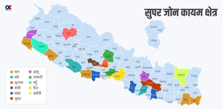 तरकारी–फलफूलमा थपिएका ३३ ‘जोन’ र ५ ‘सुपर जोन’ ले काम गर्ला ?