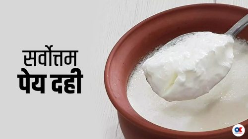 दही सर्वोत्तम पेय हो ?