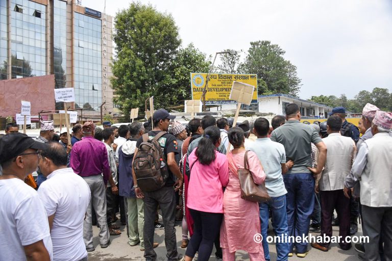 महिनाको दुई किस्ता भुक्तानी हुने सहमतिपछि दुग्ध किसानको आन्दोलन स्थगित