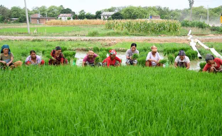 देशभरका २६ लाख किसानको सूचीकरण सम्पन्न