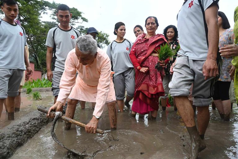 राष्ट्रपति पौडेलले शीतल निवासमा रोपे धान