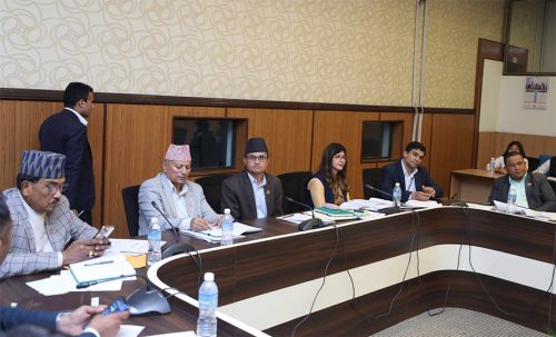 सहकारी छानबिन समितिले गृहमन्त्रीसँग सोधपुछ गर्न सक्ने