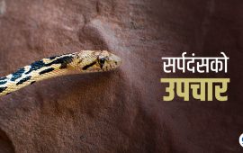 २० वर्षसम्म सर्पको विष लिएका व्यक्तिको रगतबाट सर्पदंशको औषधि तयार