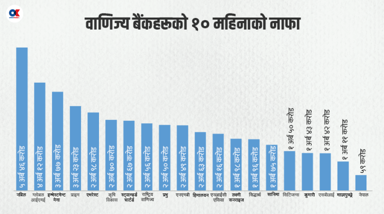 निष्क्रिय कर्जासँगै बढ्दो नोक्सानी व्यवस्था र लागतले निरन्तर घट्दै बैंकहरूको नाफा