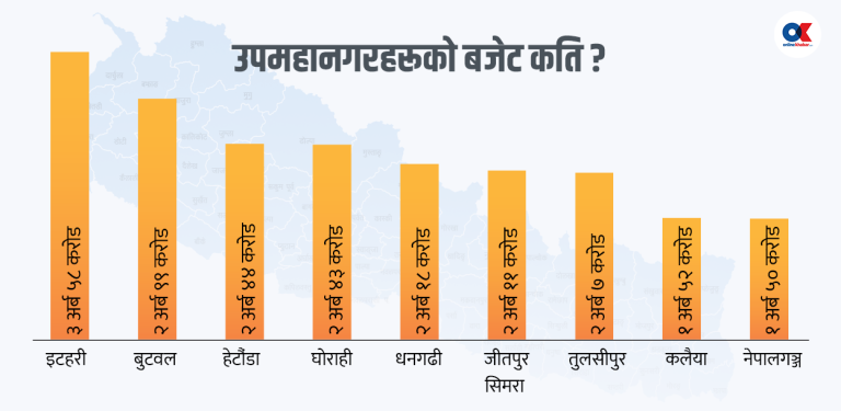 ९ उपमहानगरको बजेट : आर्थिक र सामाजिक  विकास केन्द्रित