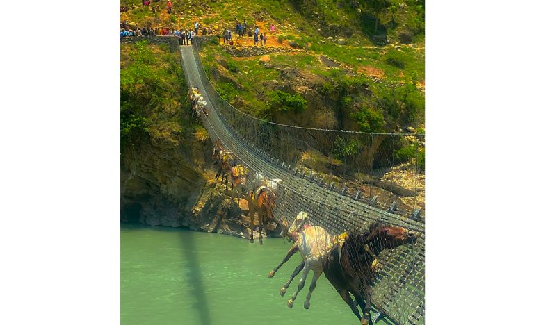 कर्णाली नदीमाथि ७ घण्टा झुण्डिएका खच्चड