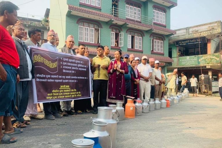 दूधको भुक्तानी ७ दिनभित्र गर्न किसानको माग