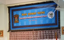 नेपाल हस्तकला महासंघले भन्यो : बजेटका सकारात्मक पक्ष धेरै छन्