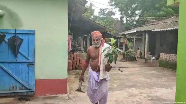 ७० वर्षदेखि दिनहुँ वृक्षरोपण गरिरहेका ‘रूख बाजे’