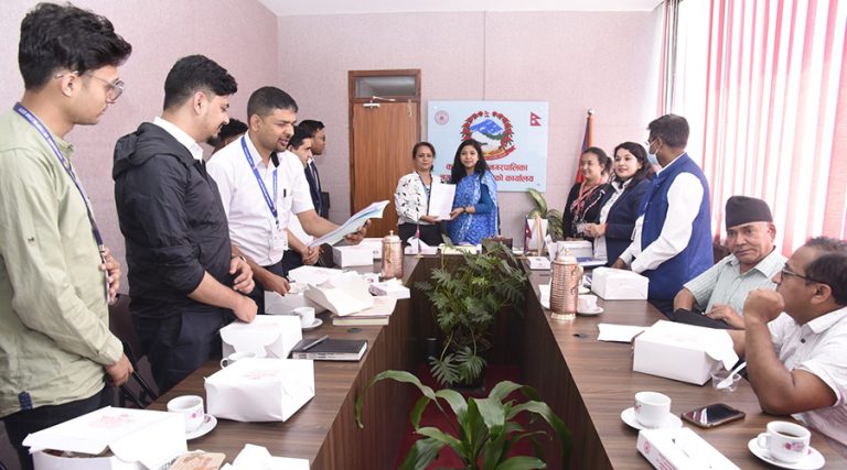 महानगरभित्र जडित सजावटका रङ्‍गीचङ्‍गी बत्ती हटाउन कार्यदलको सुझाव