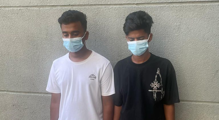 ई-सेवाको नक्कली कर्मचारी बनेर ठगी गरेको आरोपमा २ जना पक्राउ
