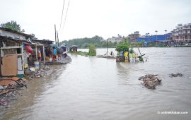 नागार्जुनमा एक जनाको मृत्यु, भक्तपुरमा १८ टहरा डुबानमा