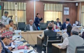 १२ पास गर्नासाथ विदेश पढ्न जान दिने कि नदिने ?