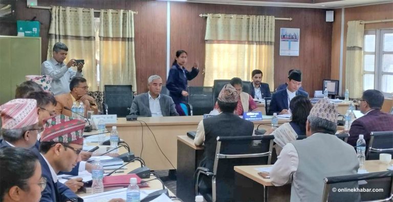 १२ पास गर्नासाथ विदेश पढ्न जान दिने कि नदिने ?