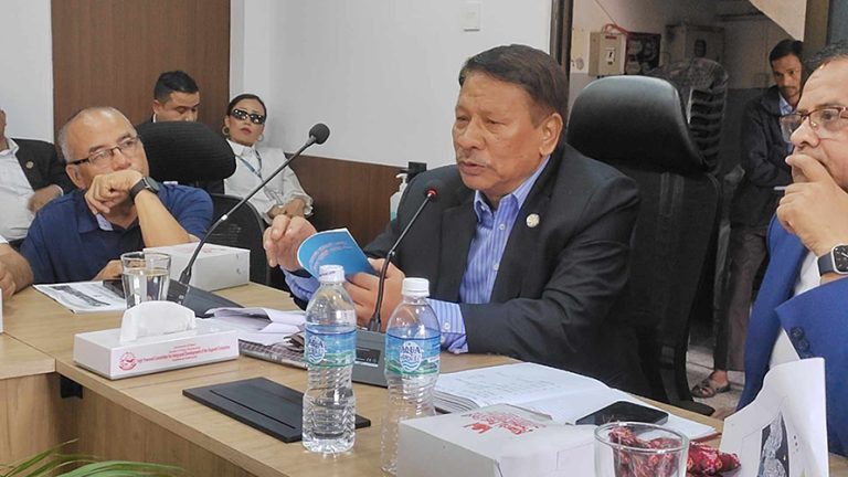 बागमती किनारका पूर्वाधार संरक्षण गर्न उपप्रधानमन्त्री सिंहको निर्देशन