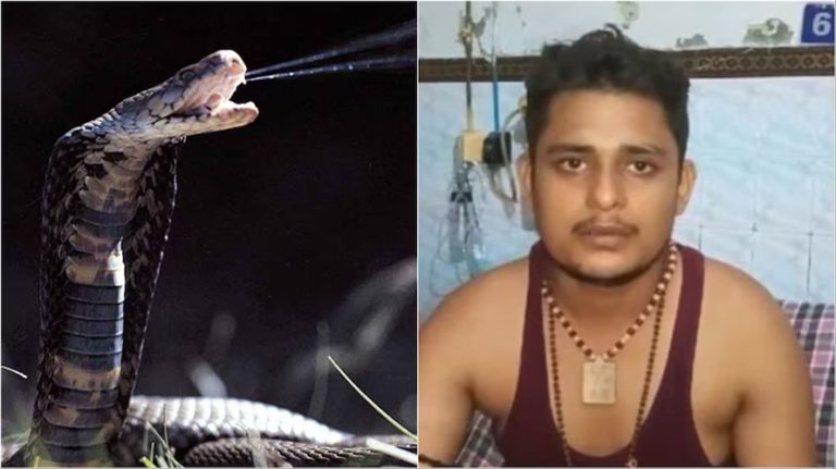किन एउटा सर्पले एकजनालाई ७ पटक डस्यो, के सर्पमा स्मरणशक्ति हुन्छ ?