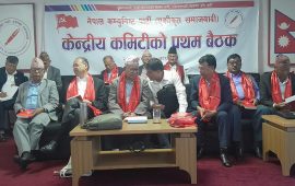 केन्द्रीय सदस्य चयनका लागि एकीकृत समाजवादीले मापदण्ड बनाउने