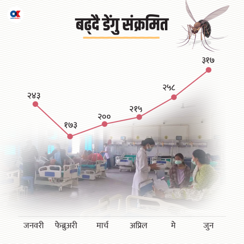 सदाबहार डेंगु : अबको तीन महिना एकदमै कठिन