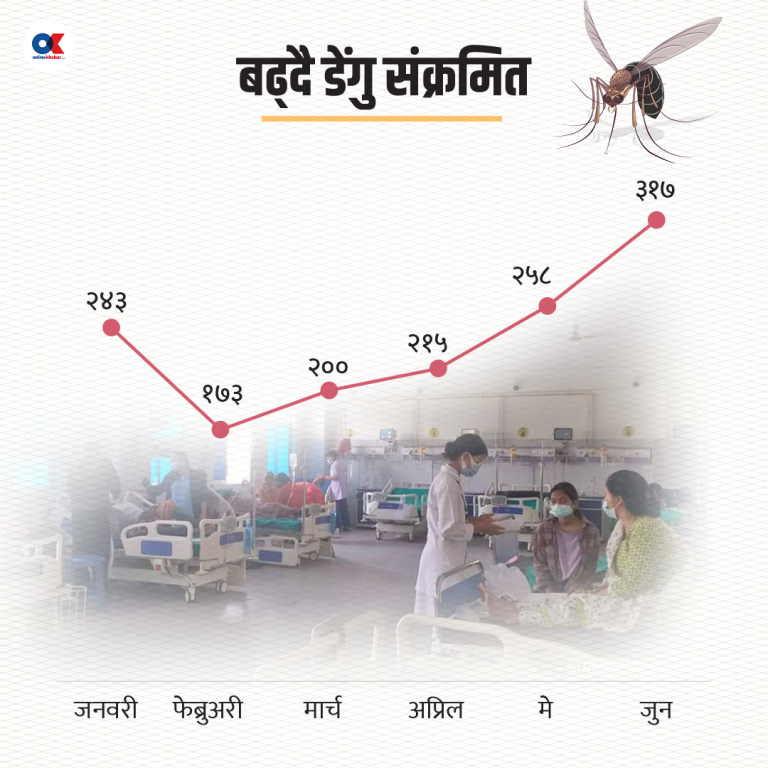 सदाबहार डेंगु : अबको तीन महिना एकदमै कठिन