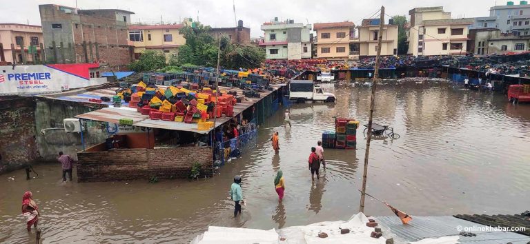 वर्षाले जनकपुरधाम जलमग्न (तस्वीरहरू)