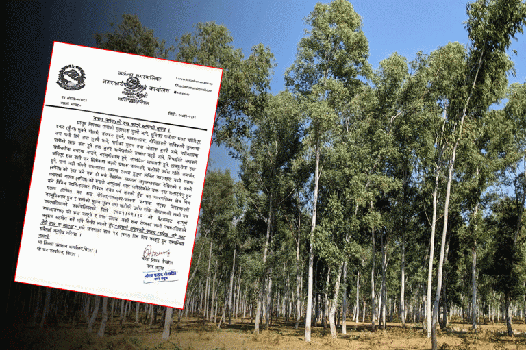 आयातित मसला रुखले सोस्दैछ मधेशको पानी !