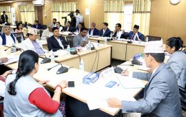 मध्यवर्ती क्षेत्रको पुनः सीमाङ्कन गर्न समितिको निर्देशन