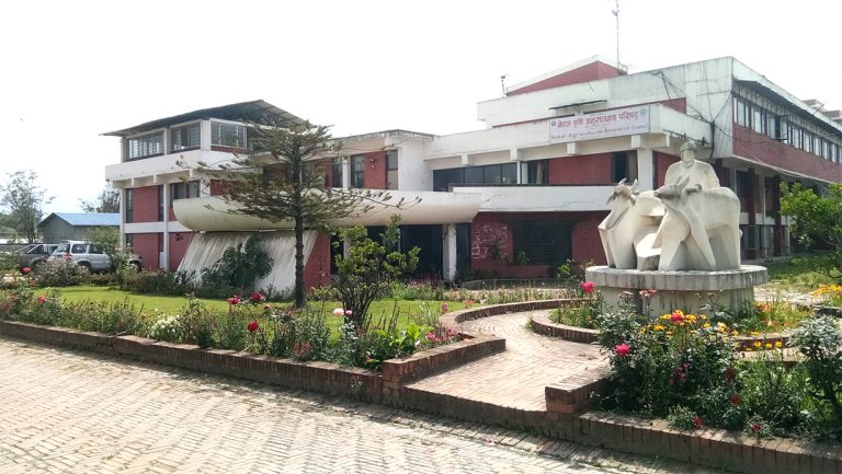 नार्कको कार्यकारी निर्देशकमा तिम्सिना नियुक्त