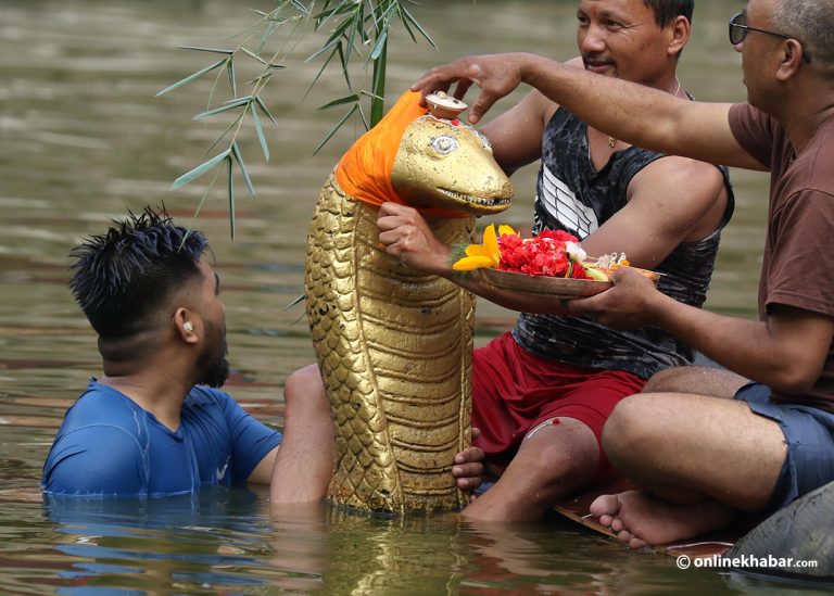 आज नाग पञ्चमी, यस्तो छ धार्मिक, साँस्कृतिक र पर्यावरणीय महत्त्व
