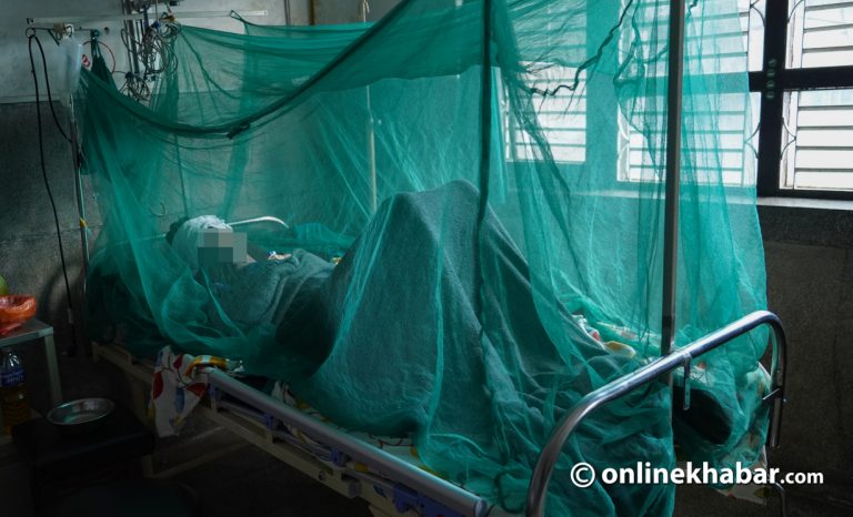 बर्सेनि डेंगुले दु:ख दिन्छ, संक्रमण फैलिइसकेपछि बल्ल तात्छ सरकार