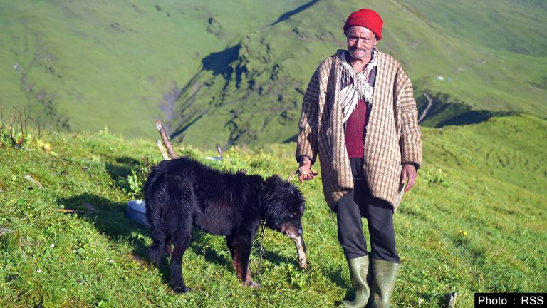 ‘कुकुरबिना गोठालाको कल्पना गर्न सकिँदैन’
