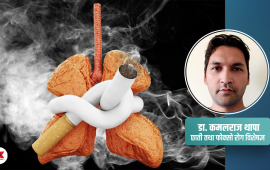चुरोट छाडेपछि बिग्रिएको फोक्सो फेरि स्वस्थ हुन्छ ?