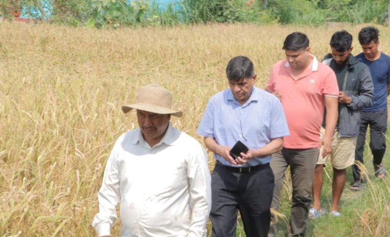 कृषि कम्युन हेरेपछि घनश्यामले भने : दलाल पूँजीपतिबाट पार्टी बचाउन विप्लवबाट सिकौं