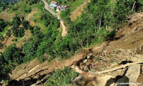 पहिरोमा जेनतेन बाँचे, तर घुसेल क्षतविक्षत छ