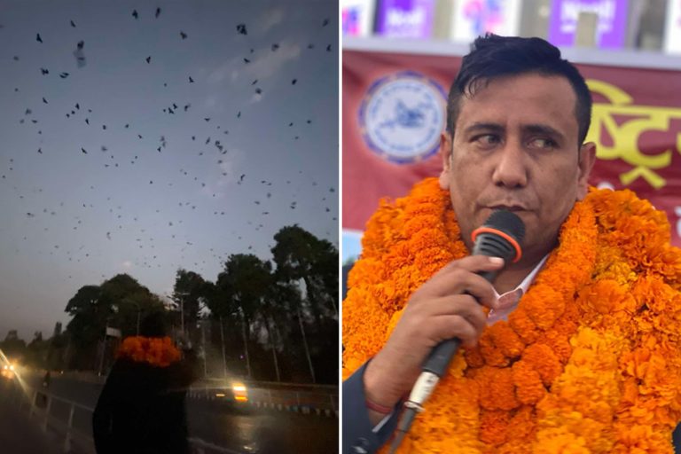 दरबारमार्गमा कलाकार रमेश दुलालको काग सम्मेलन (तस्वीर)