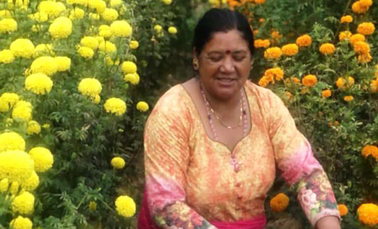 भक्तपुरमा ढकमक्क मखमली र सयपत्री