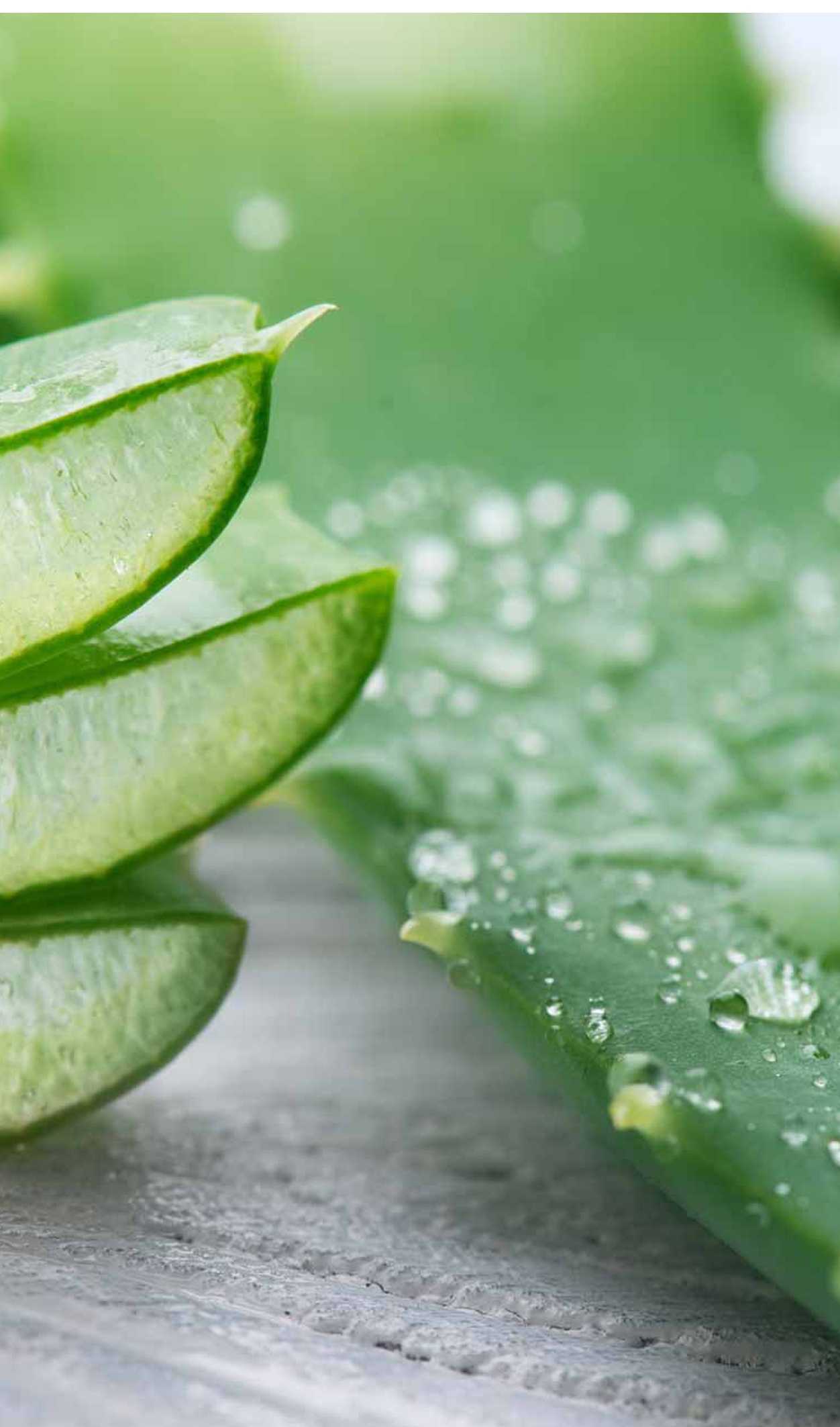 क्षारसूत्रबाट कसरी पायल्सको उपचार हुन्छ ?