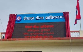 बीमा प्राधिकरणको अध्यक्ष नियुक्तिका लागि सिफारिस समिति गठन