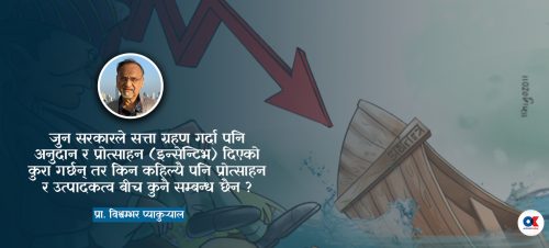 अर्थतन्त्रमा के भयो, कसरी भयो र के गर्ने ?