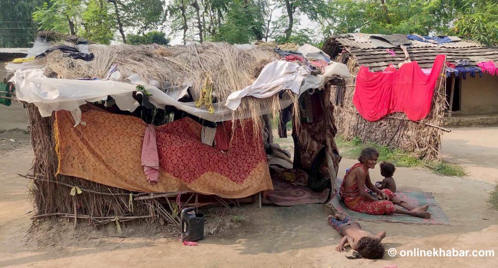 सुन्दरपुर बस्तीमा सुन्दर छैन मुसहरको जीवन