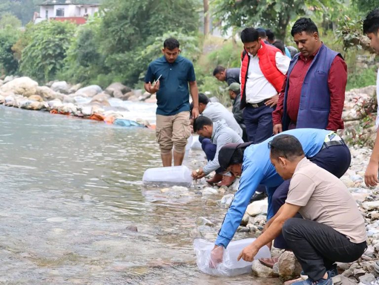  हुग्दी खोलामा १० हजार भुरा माछा छोडियो