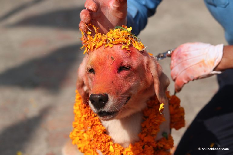 आज तिहारको तेस्रो दिन : नरक चतुर्दशी, कुकुर तिहार
