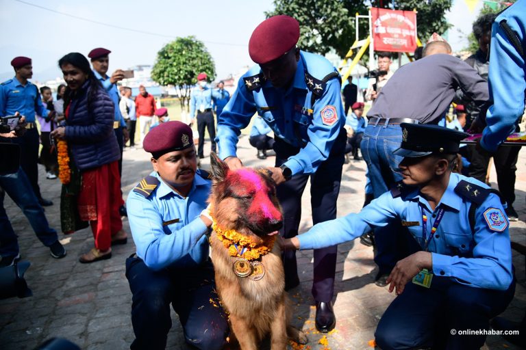 प्रहरीले मनायो कुकुर तिहार, ‘टाइगर’ बन्यो उत्कृष्ट (तस्वीरहरु)