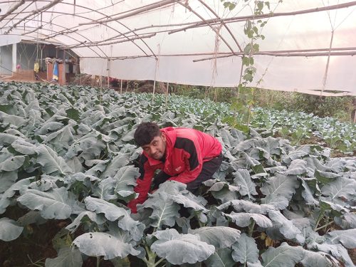 सागसब्जी बेचेर वार्षिक ६ लाख आम्दानी
