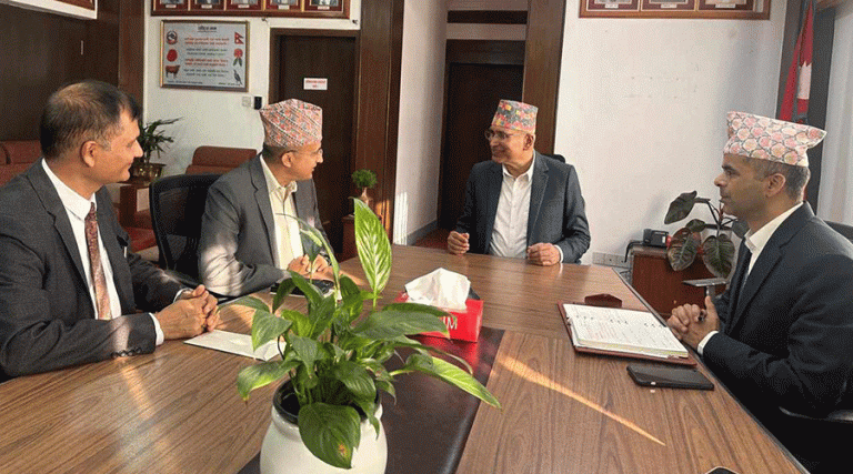 लेखामान बोर्डमा ढुंगेल र लेखा परीक्षणमान बोर्डमा उपाध्याय