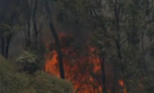 डढेलोको खतराका कारण अस्ट्रेलियामा सहरहरू खाली गर्न आदेश