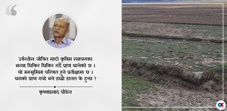 हामीले बिराएको कृषि कर्मको बाटो