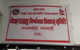 पात्रो प्रकाशन गर्न चाहनेलाई पञ्चाङ्ग निर्णायक विकास समितिको आह्वान