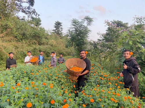 तिहारमा तनहुँका ३ युवाले बेचे एक लाख बराबरको फूल